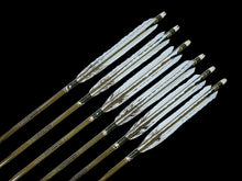 画像をギャラリービューアに読み込む, EASTON 76-20
