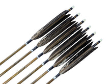 画像をギャラリービューアに読み込む, EASTON 80-23
