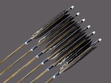 画像をギャラリービューアに読み込む, EASTON 80-23
