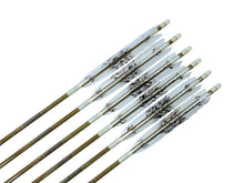 画像をギャラリービューアに読み込む, EASTON 76-20
