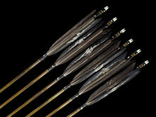 画像をギャラリービューアに読み込む, EASTON 80-23
