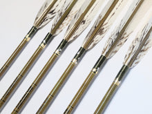 画像をギャラリービューアに読み込む, EASTON 76-20
